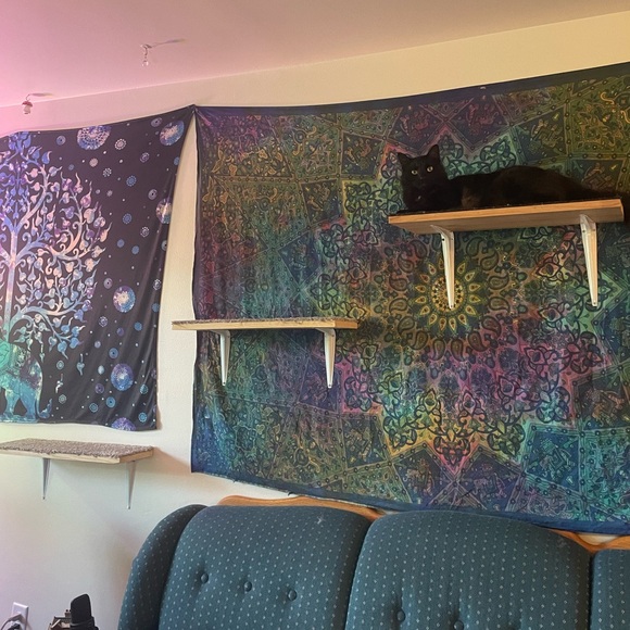 UNLIKE THIS AND LIKE NEW GAME PLEASE - Picture 3 of 5